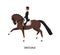 Dressage, horseback riding flat vector illustration. Equestrienne cartoon character. Hoss training, competition