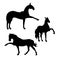 Dressage horses (set)