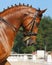 Dressage: portrait of sorrel horse