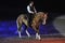 Dressage Rider