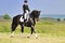 Dressage rider on bay horse in field