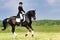 Dressage rider on bay horse galloping in field