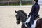 Dressage rider on a black horse.