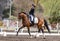 Dressage rider in competition with wonderful brown Lusitano horse