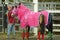 Dressage show jumping horses dressed in coats with trainer