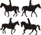 Dressage silhouettes - girl on horseback