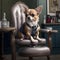 Dressed chihuahua dog sitting in a chair in a barbershop. Generative AI