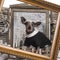 Dressed up Chinese crested dog in a winter scenery with frame