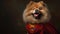 Dressed Up Chow Chow The Champion of Justice. Generative AI