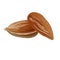 Dried almonds icon, cartoon style