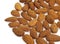 Dried Almonds, prunus dulcis against White Background