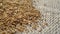 Dried anise seed on rustic rough jute cloth. Aniseed dry seasoning.