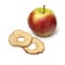 Dried apple chips and a fresh Elstar apple on white background
