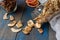 Dried apples and pears in jars. Fruit crisps.