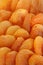 Dried apricots close up