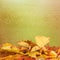 Dried autumn leaves lying on the background