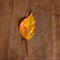 Dried autumn leaves placed on wooden plate