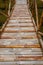 Dried bamboo is neatly lined up to be used as a suspension bridge