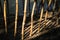 Dried bamboo of walking suspense bridge, shined by afternoon yellow sunlightbridge