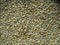 Dried Barley Malt for brewing beer