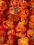 DRIED BELL PEPPERS - TURKEY