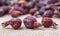 Dried berries of the medicinal wild rose