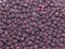 Dried black chokeberry fruits (Aronia melanocarpa)