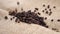 Dried black pepper grains fall on a rustic rough burlap in slow motion.