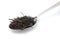 Dried black tea in metal spoon