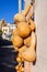 Dried bottle gourd on the wall in Goreme Cappadocia, Calabash gourd, Flowered gourd, White flowered gourd Lagenaria