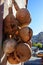 Dried bottle gourd on the wall in Goreme Cappadocia, Calabash gourd, Flowered gourd, White flowered gourd Lagenaria