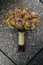 Dried Bouquet wedding flower arrangement. Stylish and sophisticated