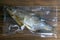 Dried bream in a transparent package on a wooden background. Snack Fish to beer. Close up