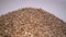 Dried buckwheat seeds. Gluten free ancient grain for healthy diet, health lifestyle