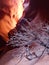 Dried Bush in Foreground with Slot Canyon Light in Background