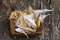 dried and butchered small fish on a wooden table