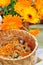 Dried calendula herbs