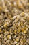 Dried Camomile (background image)