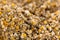 Dried Camomile (background image)