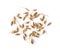 Dried Caraway seeds on white background. top view