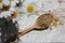 Dried chamomile medical herb in a wooden spoon and fresh daisy flowers on white shabby background. Herbal tea ingredient.