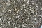 Dried chia seeds with a high content of dietary fiber, vitamins, minerals, protein, fat and carbohydrates, rich in B vitamins,