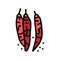 dried chili pepper color icon vector illustration