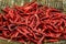 Dried chillies in the threshing basket