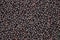 Dried chokeberry grain background