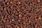 Dried clove background