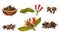 Dried Clove in Bowl and Blossomed Flower Buds Vector Set