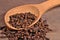 Dried clove in a spoon