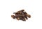 Dried cloves