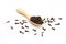 dried cloves wooden spoon on white
